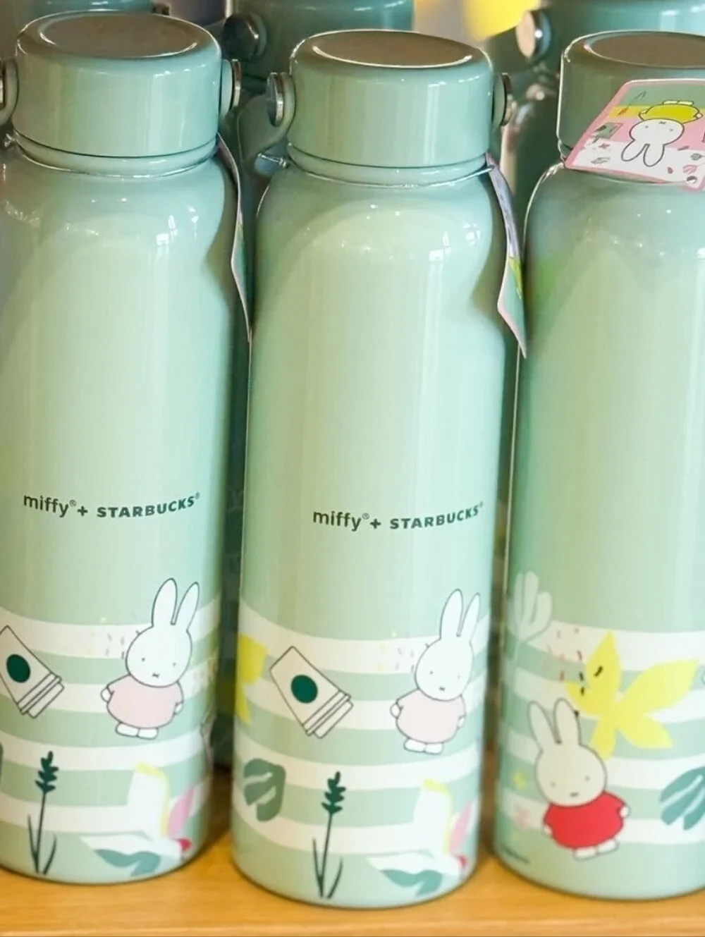 MIFFY + STARBUCKS Collab Water Bottle - Picture 2 of 11